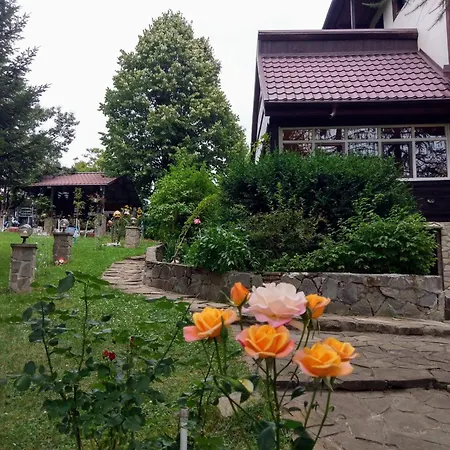 Pensiunea Gabriela Pensiune 2*
