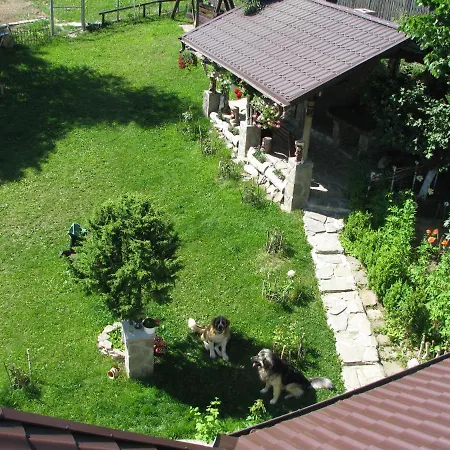 Pensiunea Gabriela 2* Durău