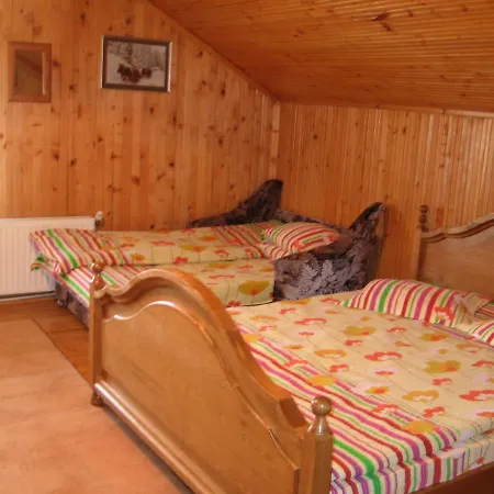 Pensiunea Gabriela 2* Durău